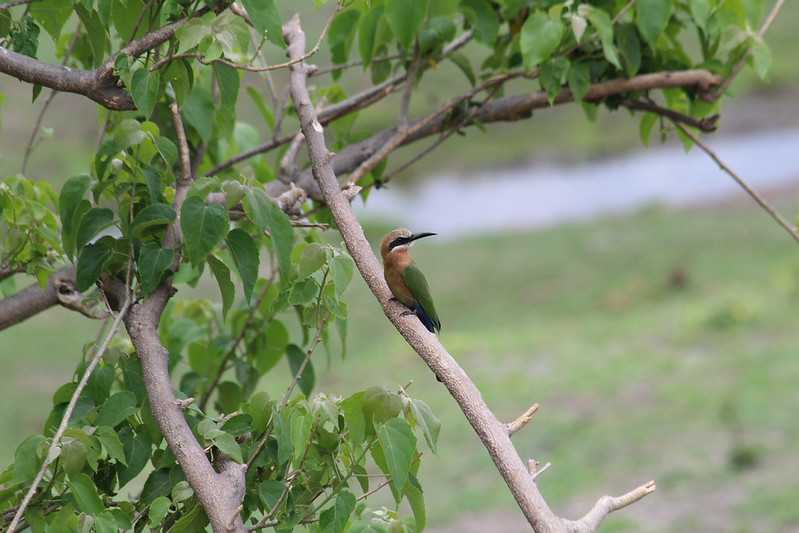 Южно-африканские приключения часть 2 20000 км (Намибия, Ботсвана, Замбия, Малави, Мозамбик) октябрь-декабрь 2025