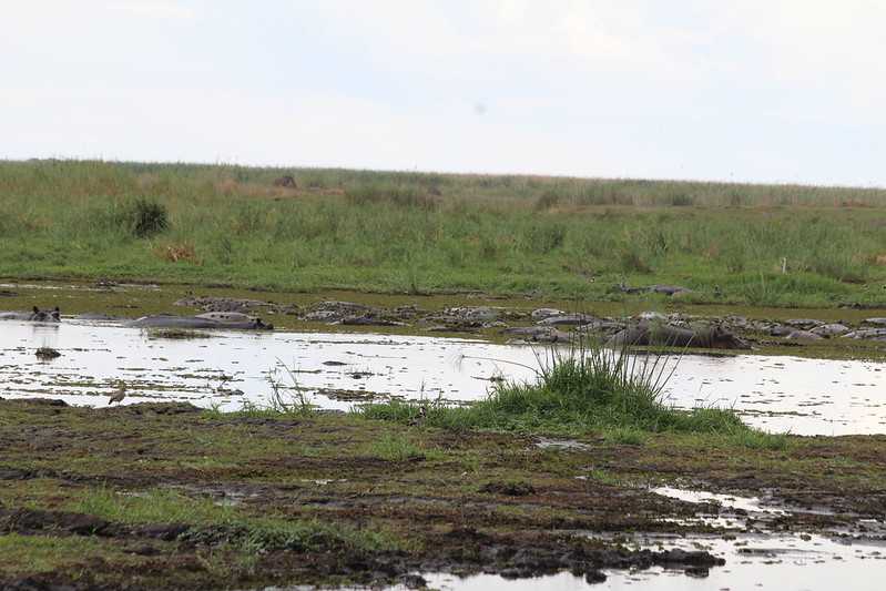 Южно-африканские приключения часть 2 20000 км (Намибия, Ботсвана, Замбия, Малави, Мозамбик) октябрь-декабрь 2025