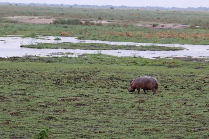 Южно-африканские приключения часть 2 20000 км (Намибия, Ботсвана, Замбия, Малави, Мозамбик) октябрь-декабрь 2025