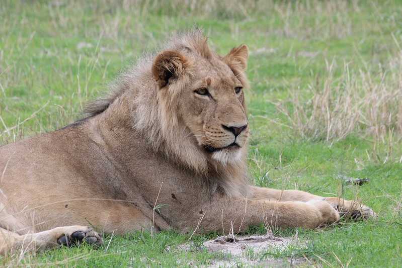 Южно-африканские приключения часть 2 20000 км (Намибия, Ботсвана, Замбия, Малави, Мозамбик) октябрь-декабрь 2025