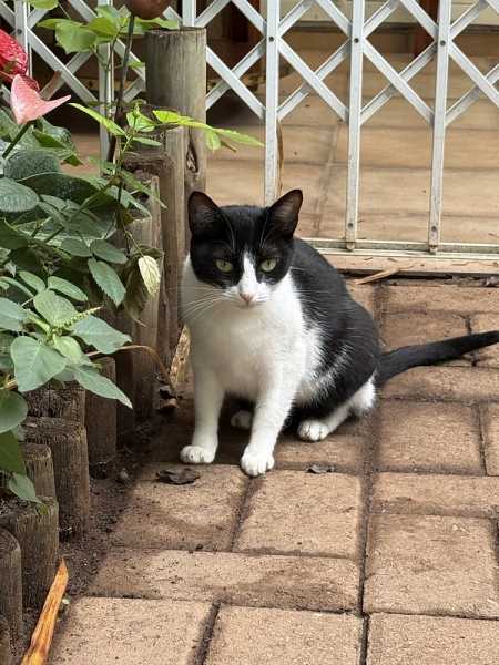 Южно-африканские приключения часть 2 20000 км (Намибия, Ботсвана, Замбия, Малави, Мозамбик) октябрь-декабрь 2025