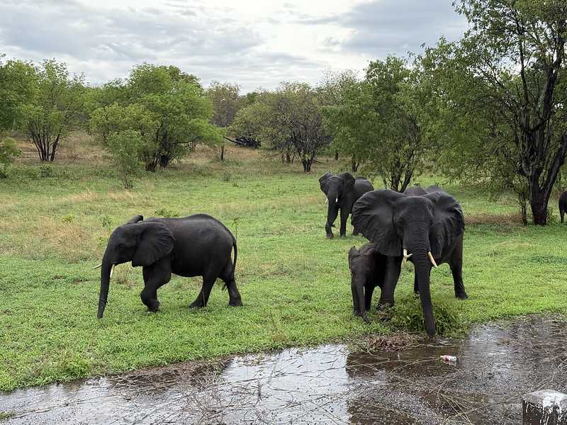 Южно-африканские приключения часть 2 20000 км (Намибия, Ботсвана, Замбия, Малави, Мозамбик) октябрь-декабрь 2025