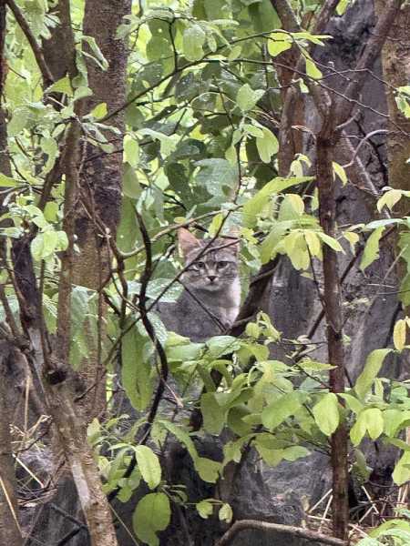 Южно-африканские приключения часть 2 20000 км (Намибия, Ботсвана, Замбия, Малави, Мозамбик) октябрь-декабрь 2025