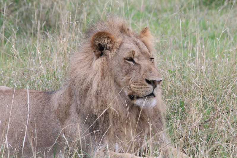 Южно-африканские приключения часть 2 20000 км (Намибия, Ботсвана, Замбия, Малави, Мозамбик) октябрь-декабрь 2025