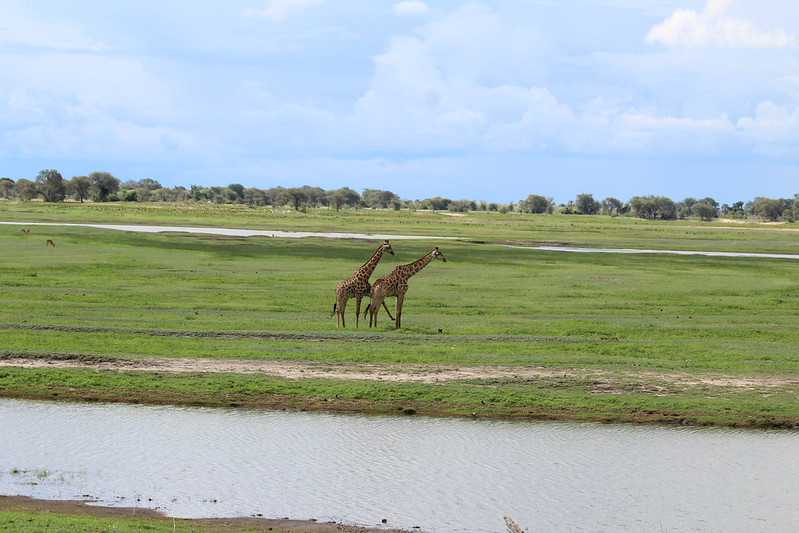 Южно-африканские приключения часть 2 20000 км (Намибия, Ботсвана, Замбия, Малави, Мозамбик) октябрь-декабрь 2025