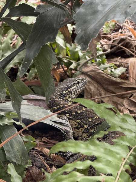 Южно-африканские приключения часть 2 20000 км (Намибия, Ботсвана, Замбия, Малави, Мозамбик) октябрь-декабрь 2025