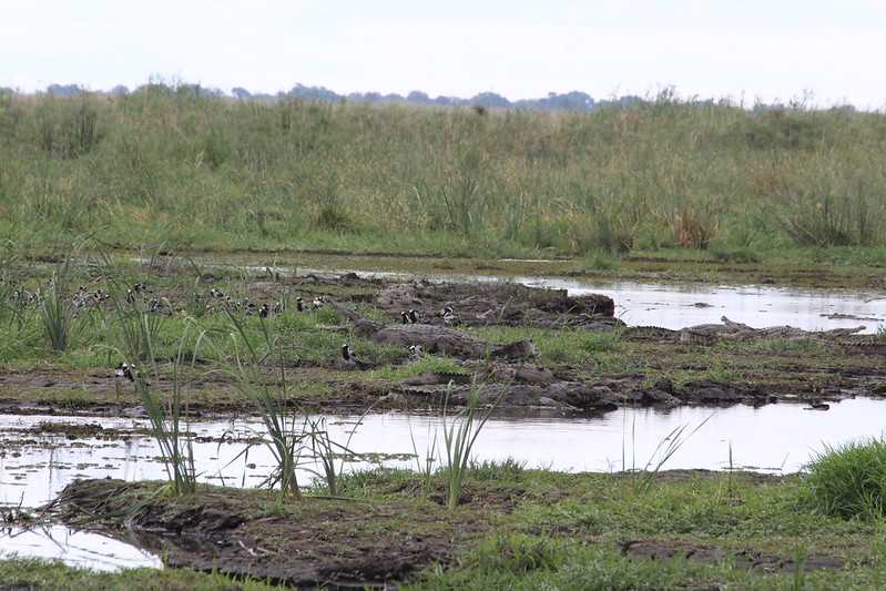 Южно-африканские приключения часть 2 20000 км (Намибия, Ботсвана, Замбия, Малави, Мозамбик) октябрь-декабрь 2025