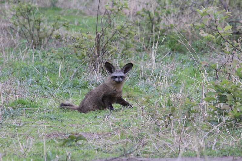 Южно-африканские приключения часть 2 20000 км (Намибия, Ботсвана, Замбия, Малави, Мозамбик) октябрь-декабрь 2025