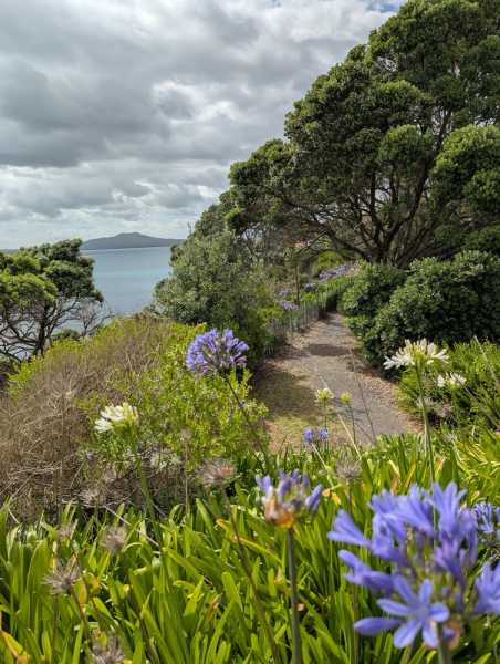 Новая Зеландия во второй раз на машине (21 день  - 2 острова) . Новогодние праздники