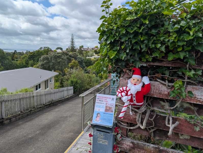 Новая Зеландия во второй раз на машине (21 день  - 2 острова) . Новогодние праздники