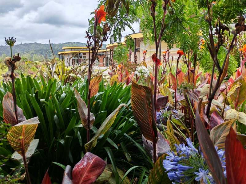 Новая Зеландия во второй раз на машине (21 день  - 2 острова) . Новогодние праздники