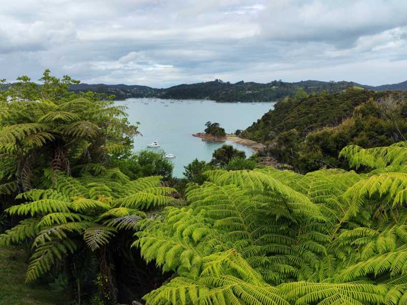 Новая Зеландия во второй раз на машине (21 день  - 2 острова) . Новогодние праздники