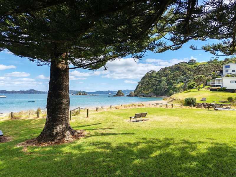 Новая Зеландия во второй раз на машине (21 день  - 2 острова) . Новогодние праздники
