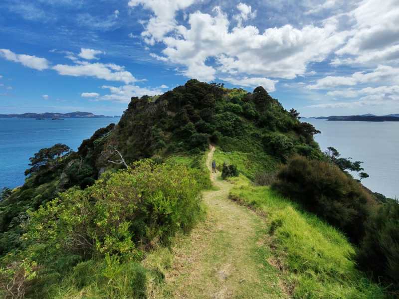 Новая Зеландия во второй раз на машине (21 день  - 2 острова) . Новогодние праздники