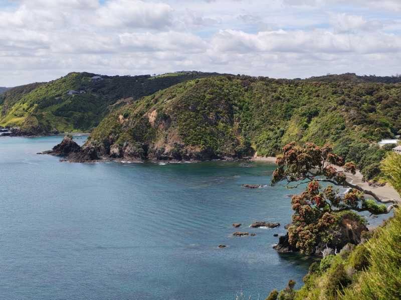 Новая Зеландия во второй раз на машине (21 день  - 2 острова) . Новогодние праздники