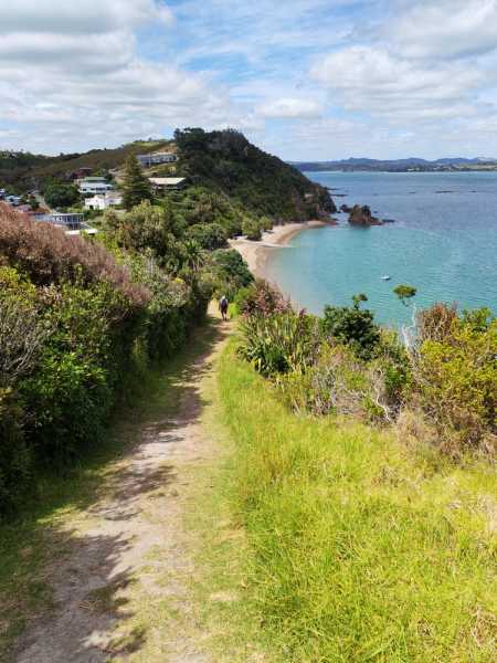 Новая Зеландия во второй раз на машине (21 день  - 2 острова) . Новогодние праздники