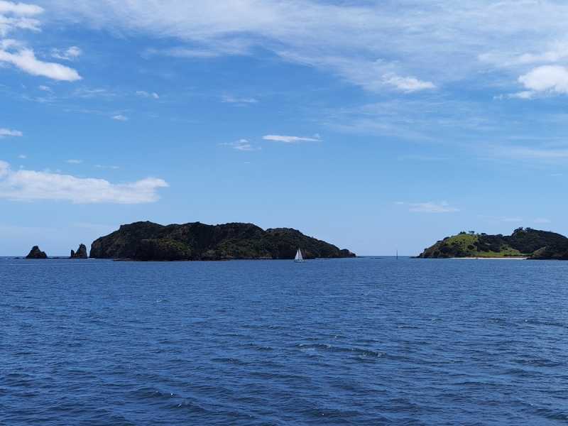 Новая Зеландия во второй раз на машине (21 день  - 2 острова) . Новогодние праздники