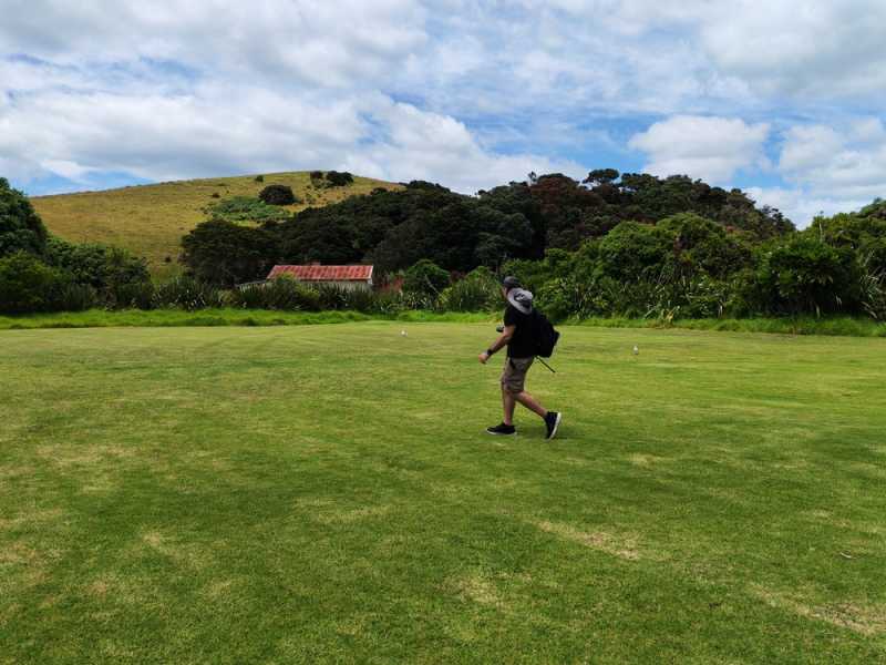 Новая Зеландия во второй раз на машине (21 день  - 2 острова) . Новогодние праздники