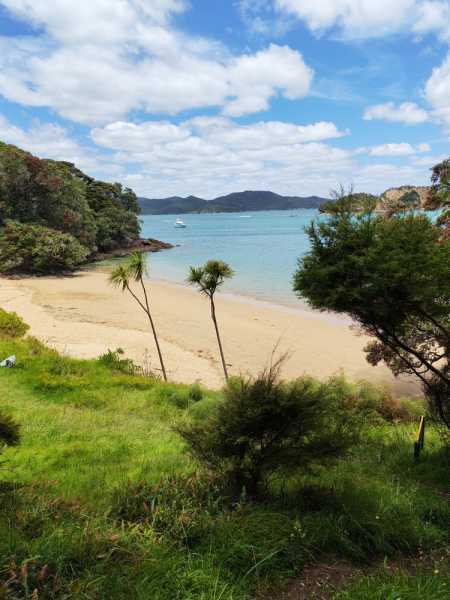 Новая Зеландия во второй раз на машине (21 день  - 2 острова) . Новогодние праздники