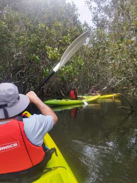 Новая Зеландия во второй раз на машине (21 день  - 2 острова) . Новогодние праздники