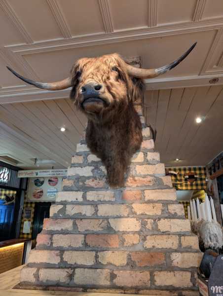 Новая Зеландия во второй раз на машине (21 день  - 2 острова) . Новогодние праздники