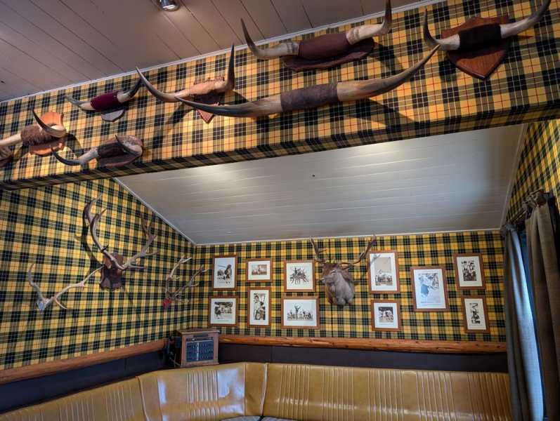 Новая Зеландия во второй раз на машине (21 день  - 2 острова) . Новогодние праздники