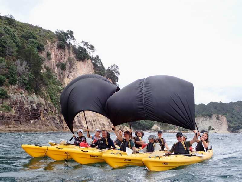 Новая Зеландия во второй раз на машине (21 день  - 2 острова) . Новогодние праздники