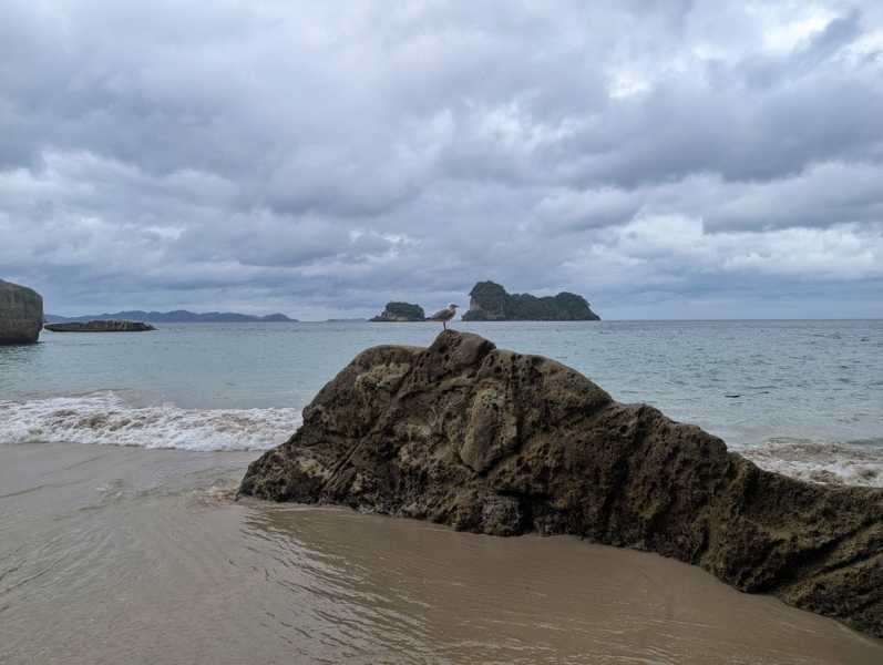 Новая Зеландия во второй раз на машине (21 день  - 2 острова) . Новогодние праздники