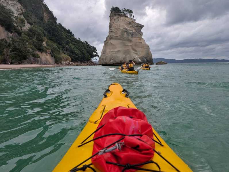 Новая Зеландия во второй раз на машине (21 день  - 2 острова) . Новогодние праздники