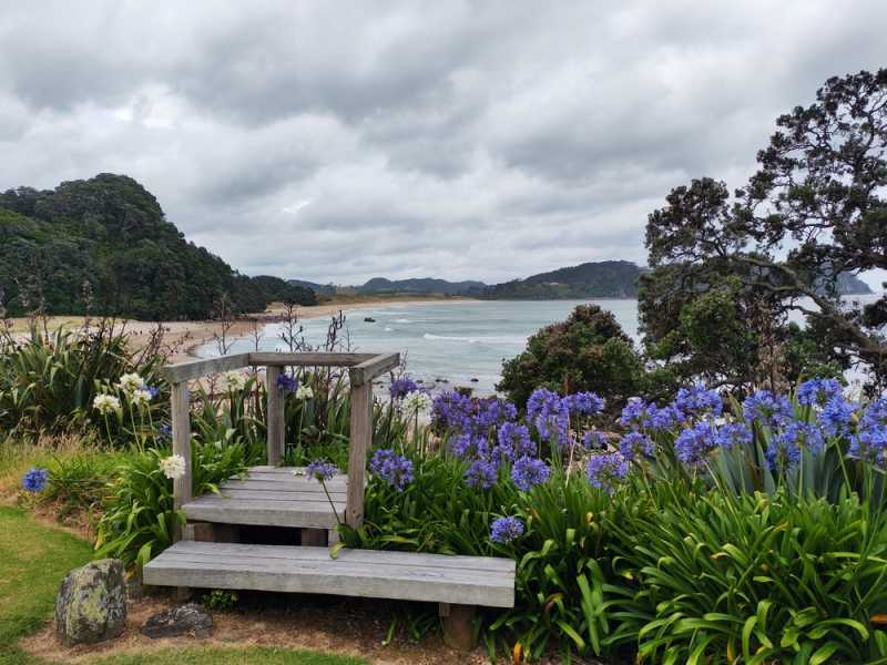 Новая Зеландия во второй раз на машине (21 день  - 2 острова) . Новогодние праздники