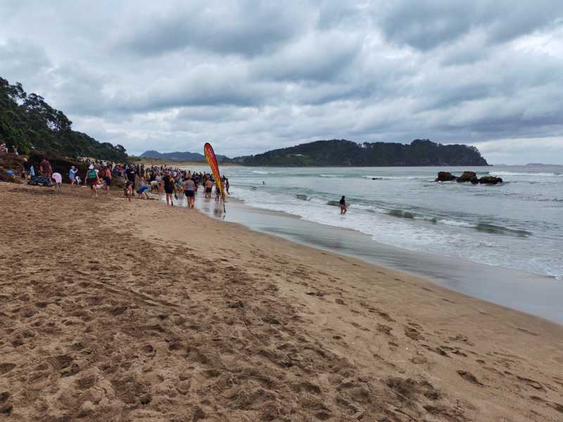 Новая Зеландия во второй раз на машине (21 день  - 2 острова) . Новогодние праздники