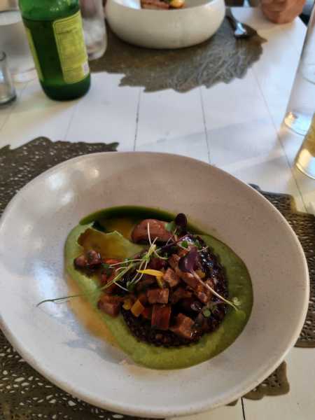 Новая Зеландия во второй раз на машине (21 день  - 2 острова) . Новогодние праздники