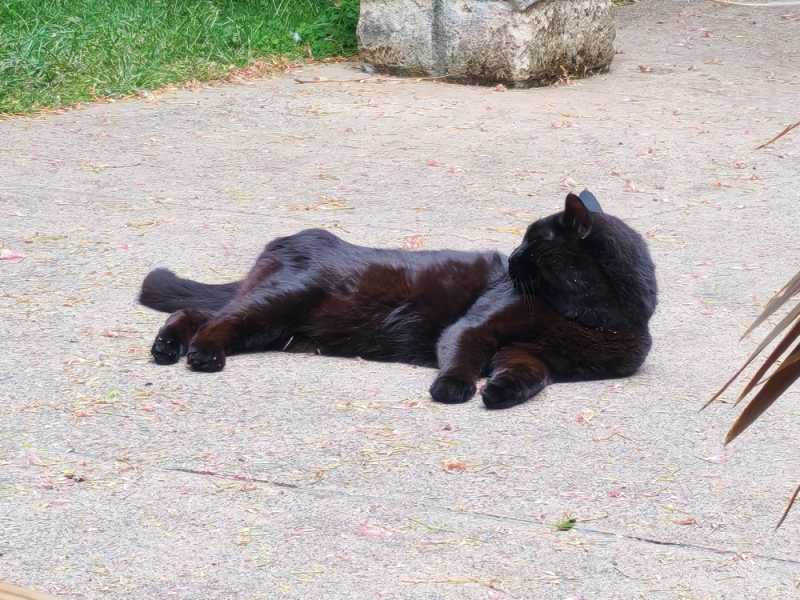 Новая Зеландия во второй раз на машине (21 день  - 2 острова) . Новогодние праздники