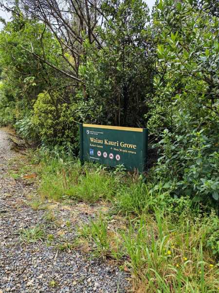 Новая Зеландия во второй раз на машине (21 день  - 2 острова) . Новогодние праздники