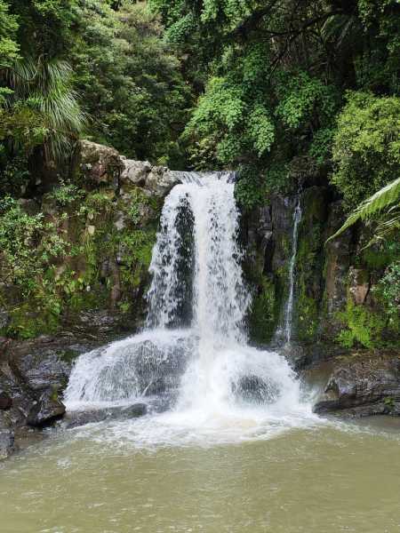 Новая Зеландия во второй раз на машине (21 день  - 2 острова) . Новогодние праздники