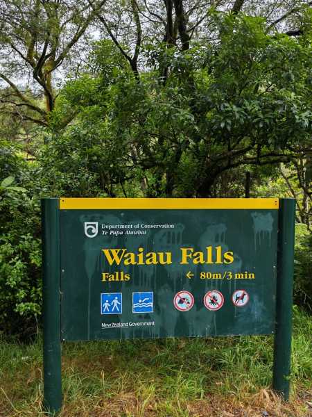 Новая Зеландия во второй раз на машине (21 день  - 2 острова) . Новогодние праздники