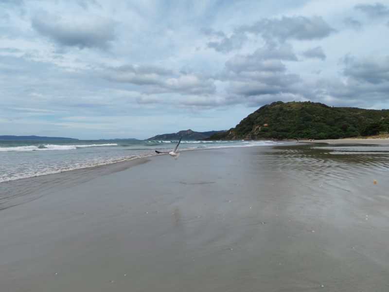 Новая Зеландия во второй раз на машине (21 день  - 2 острова) . Новогодние праздники