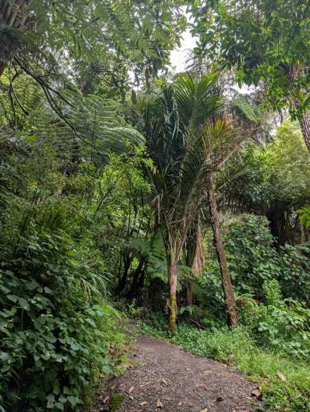 Новая Зеландия во второй раз на машине (21 день  - 2 острова) . Новогодние праздники