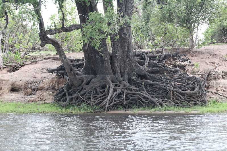 Южно-африканские приключения часть 2 20000 км (Намибия, Ботсвана, Замбия, Малави, Мозамбик) октябрь-декабрь 2025