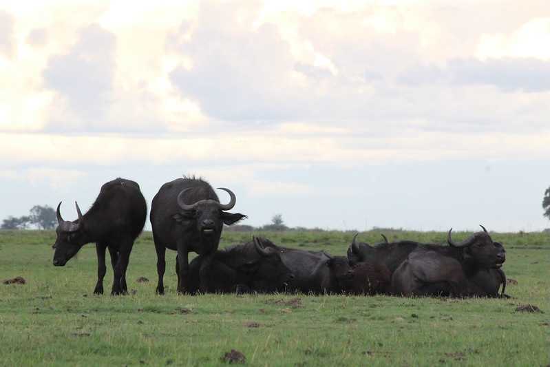 Южно-африканские приключения часть 2 20000 км (Намибия, Ботсвана, Замбия, Малави, Мозамбик) октябрь-декабрь 2025