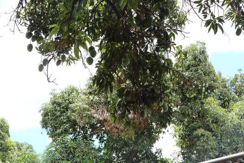 Южно-африканские приключения часть 2 20000 км (Намибия, Ботсвана, Замбия, Малави, Мозамбик) октябрь-декабрь 2025