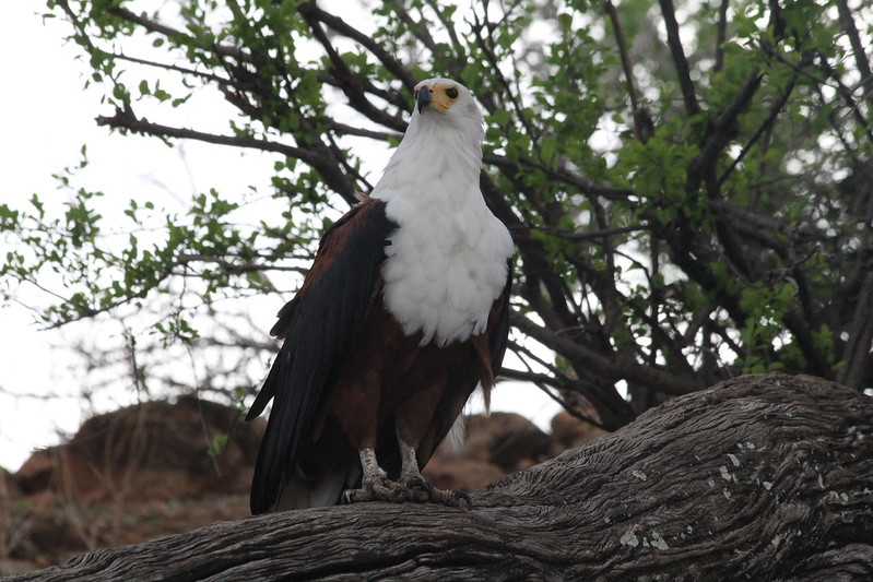 Южно-африканские приключения часть 2 20000 км (Намибия, Ботсвана, Замбия, Малави, Мозамбик) октябрь-декабрь 2025