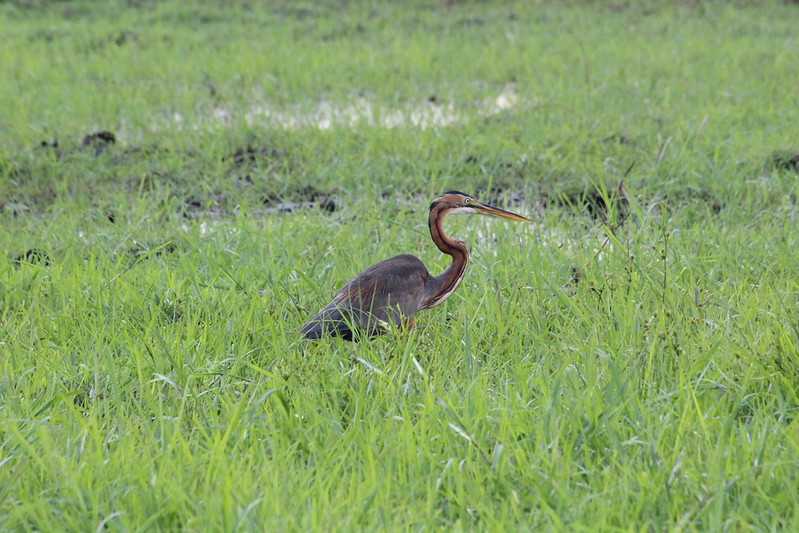 Южно-африканские приключения часть 2 20000 км (Намибия, Ботсвана, Замбия, Малави, Мозамбик) октябрь-декабрь 2025