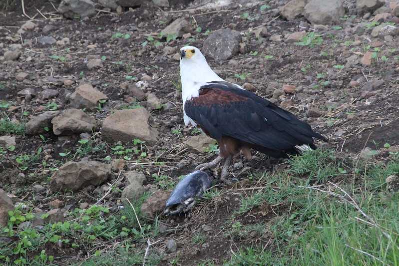 Южно-африканские приключения часть 2 20000 км (Намибия, Ботсвана, Замбия, Малави, Мозамбик) октябрь-декабрь 2025