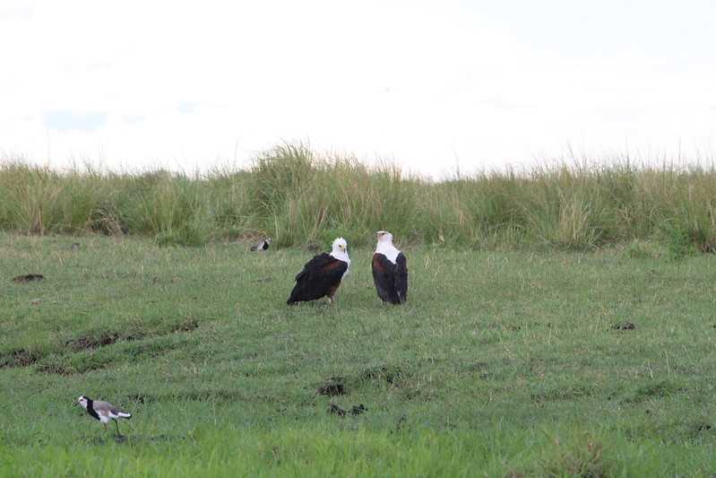 Южно-африканские приключения часть 2 20000 км (Намибия, Ботсвана, Замбия, Малави, Мозамбик) октябрь-декабрь 2025