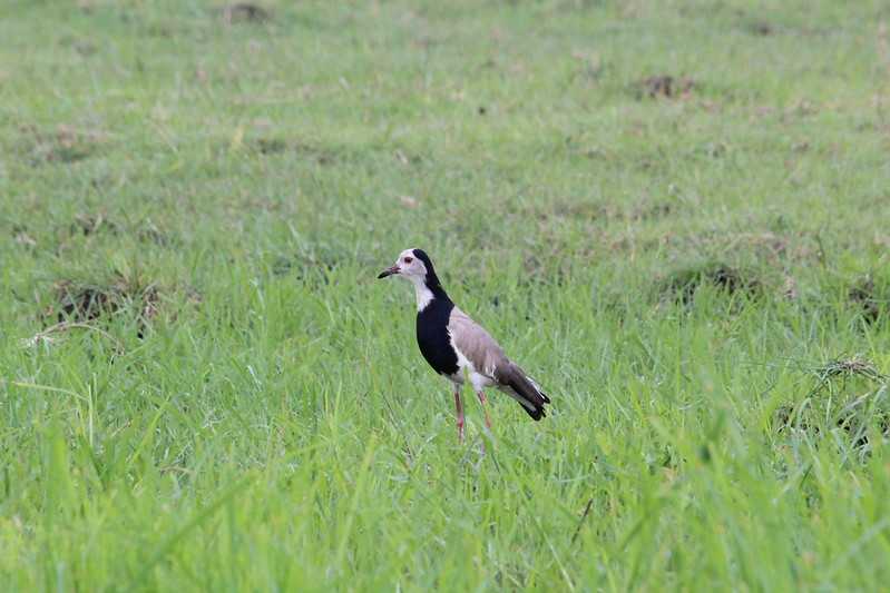 Южно-африканские приключения часть 2 20000 км (Намибия, Ботсвана, Замбия, Малави, Мозамбик) октябрь-декабрь 2025