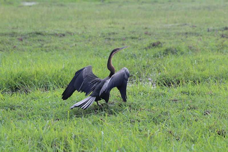 Южно-африканские приключения часть 2 20000 км (Намибия, Ботсвана, Замбия, Малави, Мозамбик) октябрь-декабрь 2025