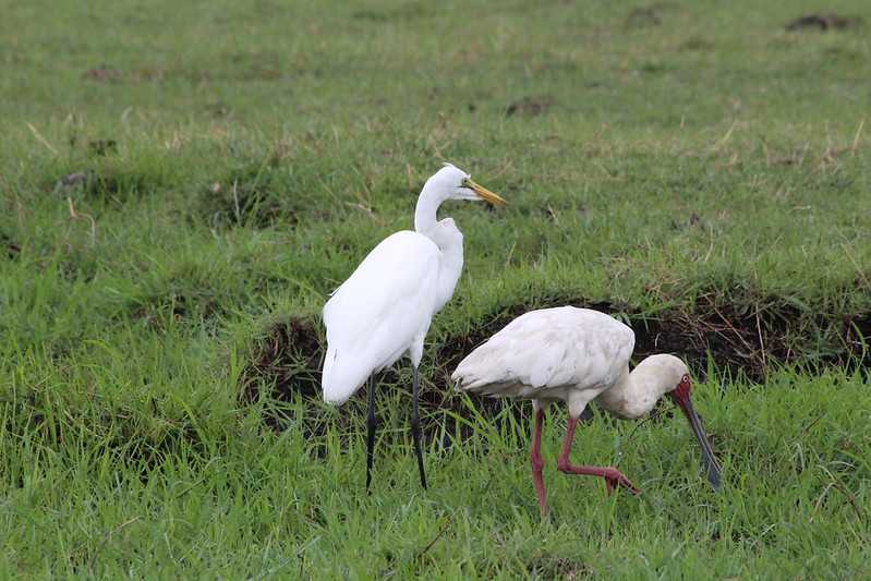 Южно-африканские приключения часть 2 20000 км (Намибия, Ботсвана, Замбия, Малави, Мозамбик) октябрь-декабрь 2025