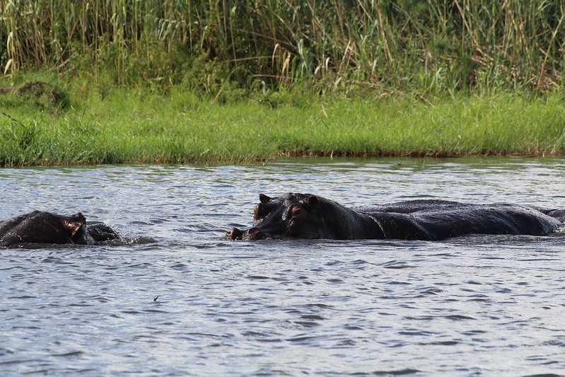 Южно-африканские приключения часть 2 20000 км (Намибия, Ботсвана, Замбия, Малави, Мозамбик) октябрь-декабрь 2025
