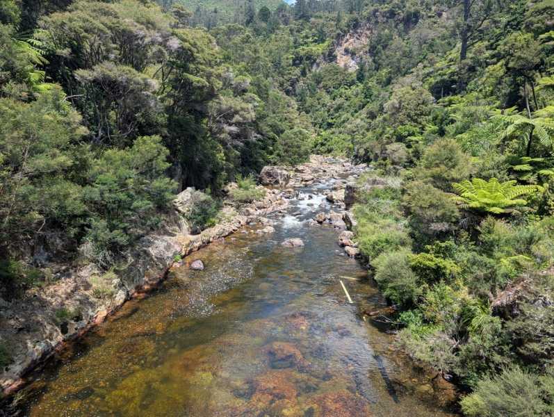 Новая Зеландия во второй раз на машине (21 день  - 2 острова) . Новогодние праздники